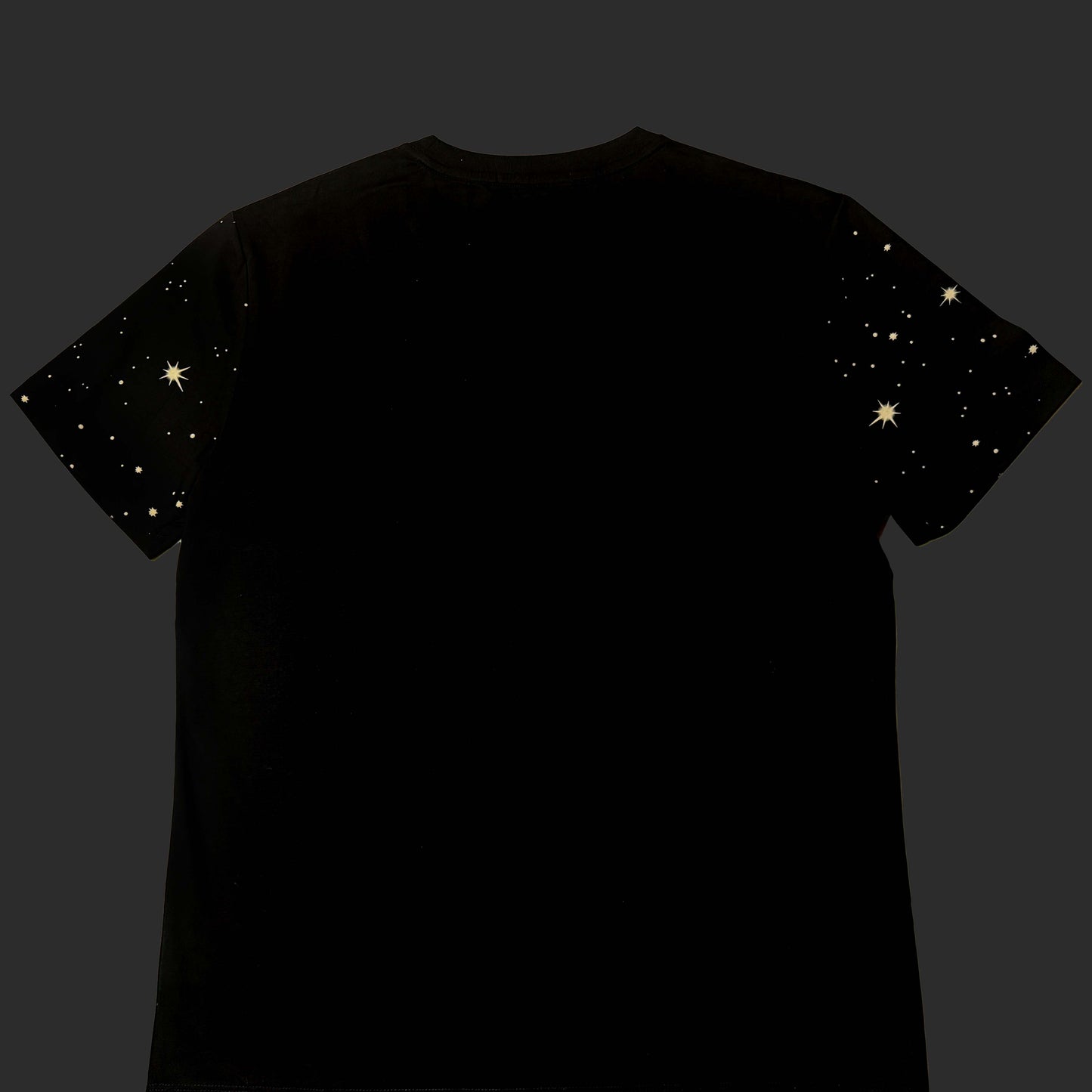 Men’s Black Tiger Graphic T-Shirt – Rhinestone Embellished Animal Print Tee